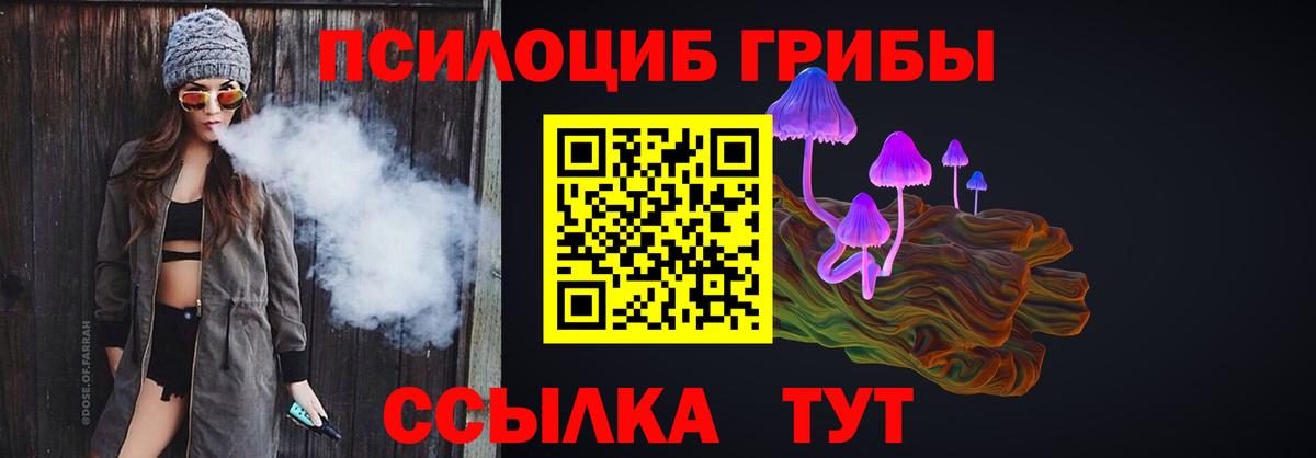 Осинники  наркотики  Вход с VPN  Псилоцибиновые грибы Cubensis 